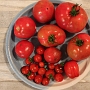 Isompia ja pienempiä tomaatteja. Nämä ovat melko tavanomaisen värisiä. Seassa on lähes isoimpia tomaatteja mitä kasvattaa voi. Big Zac on yksi tällainen jättilajike. Tomaatit voivat olla paitsi punaisia, niin myös valkoisia, keltaisia, oransseja, pinkkejä, violettejä, mustia ja sinisiä. Väri riippuu lajikkeesta ja valon määrästä. Vihreitäkin tomaatteja syödään, mutten niitä itse syö niiden ollessa lievästi myrkyllisiä.