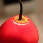 Kuvassa on capsicum pubescens eli rocoto -tyyppinen chili. Sen siemenet ovat tavallisesta poiketen mustia ja hedelmäliha on paksua ja mehevää.